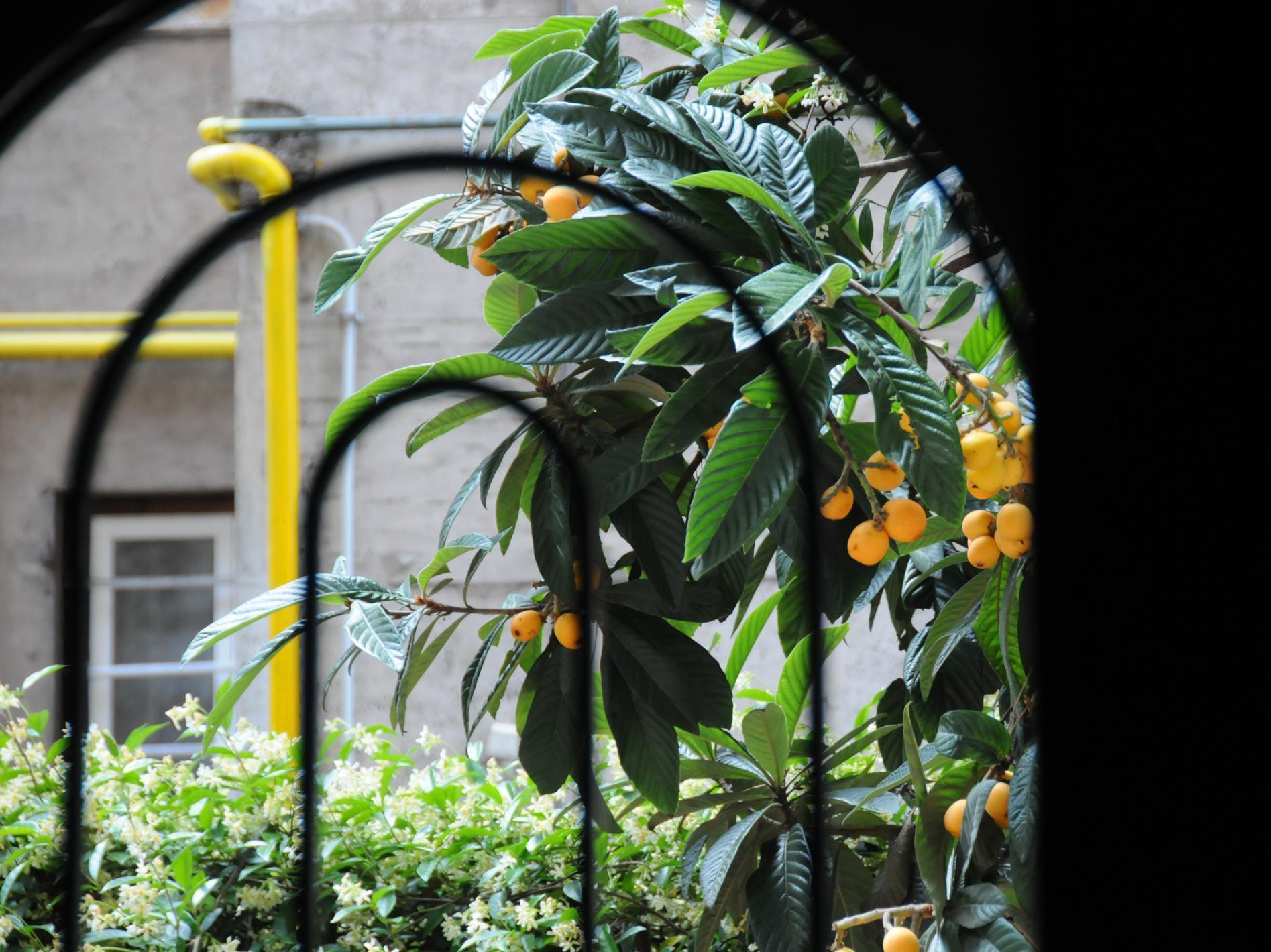 Circus Maximus Bed & Breakfast Roma